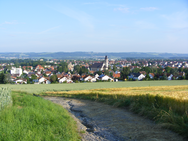 Ein Weg führt durch grüne und goldene Felder auf eine malerische Stadt mit einer Kirche im Zentrum zu, umgeben von Hügeln und einem blauen Himmel im Hintergrund.