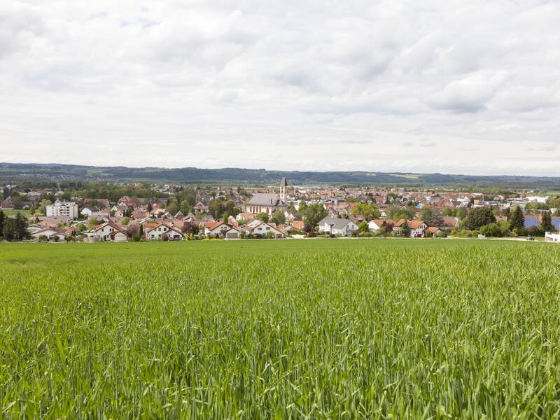 Sicht auf die Gemeinde Baienfurt von einem Hügel