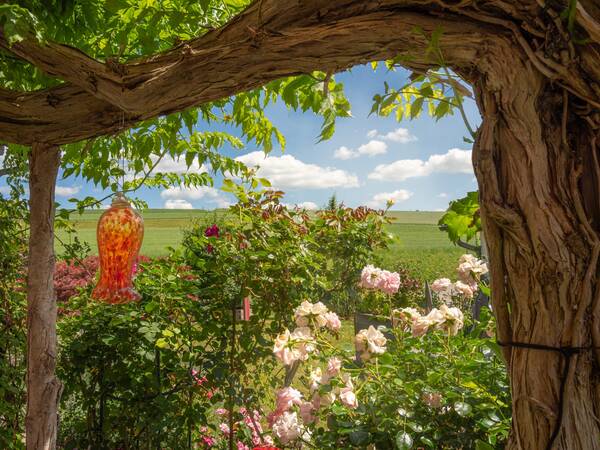 Ein idyllischer Garten mit blühenden Rosen unter einer begrünten Pergola, vor einem weiten Feld und blauem Himmel mit weißen Wolken, ist zu sehen.